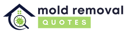 Dayton Mold Removal Solutions